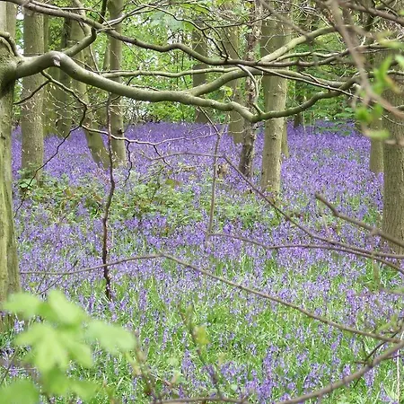 Bluebell Waterfall House * Dunmanway